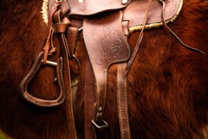 Quality Gear for Every Rider: Explore our Horse Equipment Selection! Dive in.