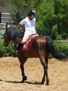 Transform Your Riding: Innovative Horse Training Techniques