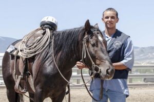 Effective Equine Management: Expert Insights