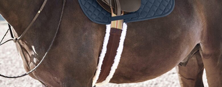 Maximize Your Ride: Horse Equipment Essentials! Find out more here.