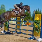 what is the equestrian sport